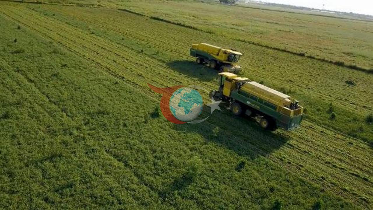 SuperFresh Döngüsel Bereket Modeliyle Tarımda Sürdürülebilirliği Güçlendiriyor