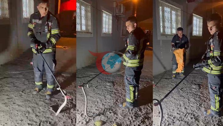 Osmaniye'de Evin Kilerine Girmeye Çalışan Zehirli Engerek Yılanı İtfaiye Tarafından Yakalandı