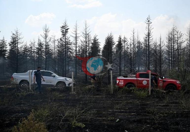 Ankarada yangın Alevler akaryakıt istasyonuna yaklaşınca alarm verildi