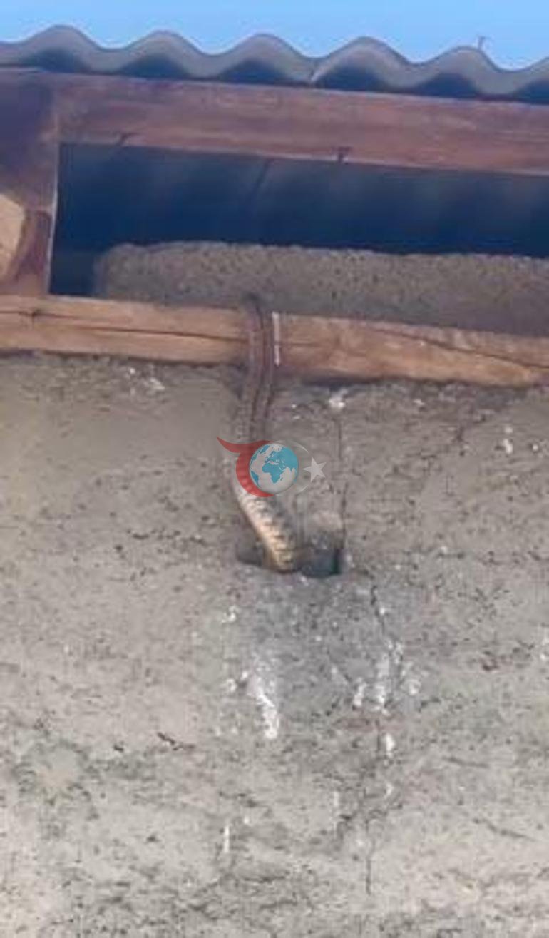 Kabus evi Çatıdaki kuş deliklerine kadar sızdılar: Hayatımız altüst oldu
