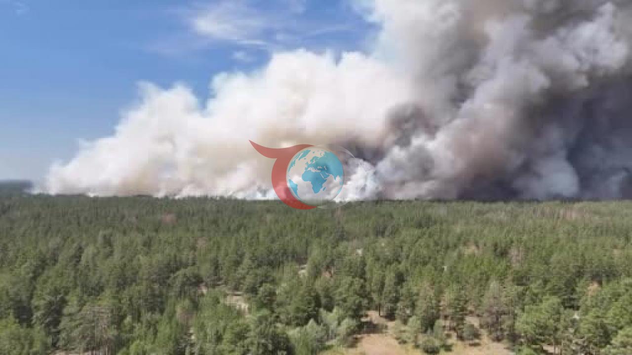 Kazakistan'da Orman Yangını Kabusu: 19 Farklı Noktada Alevlerle Mücadele Başladı