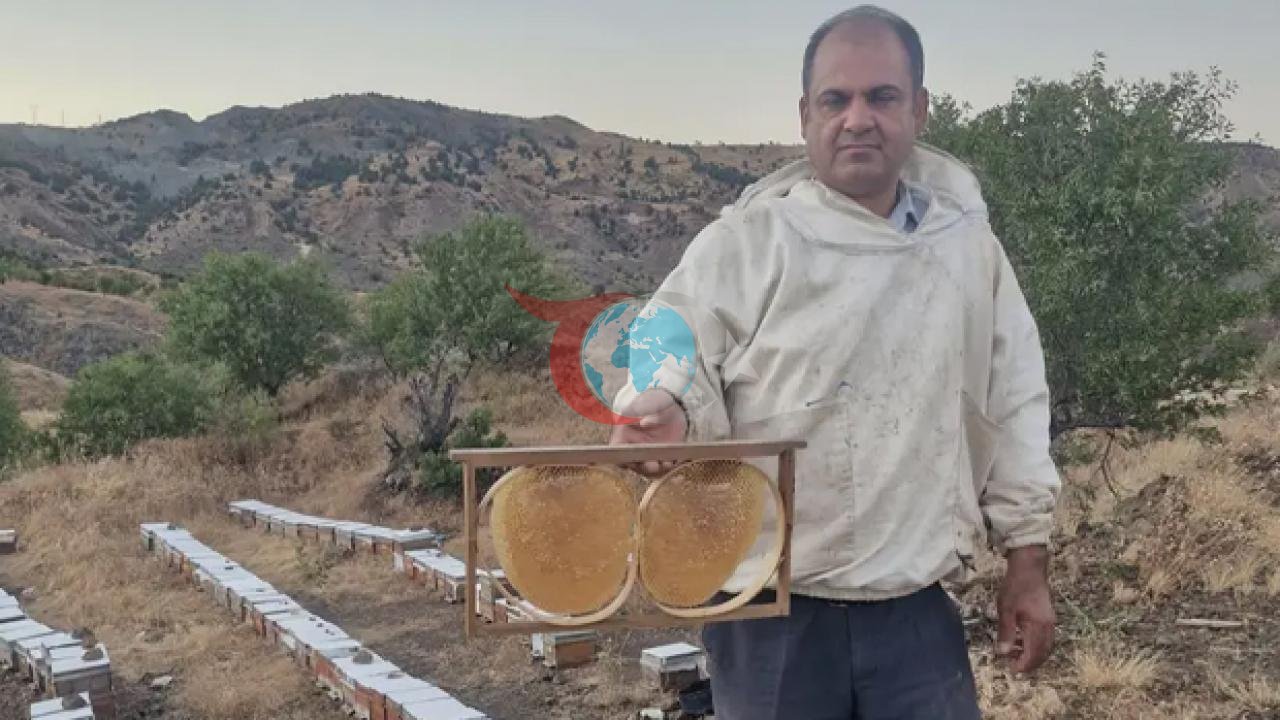Adıyaman'da Yeni Sezon Bal Fiyatları Açıklandı: Karakovan Balının Kilosu 2 Bin 200 TL Oldu