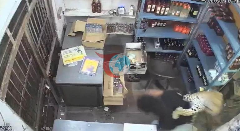 Bəbir mağazaya girərək işçiyə hücum edib. Dəhşət anlar kamerada