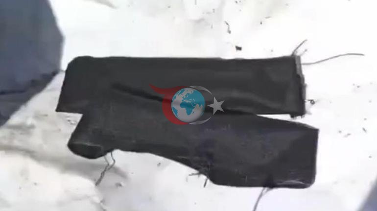 Cezaevine uyuşturucu taşıyan kurye kedi yakalandı Üzerindeki düzenek şaşkına çevirdi