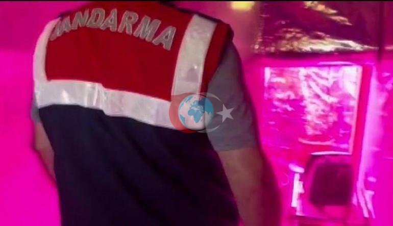 Son dakika... Ünlü yönetmen Ezel Akay gözaltında Evinden çıkanlar şoke etti