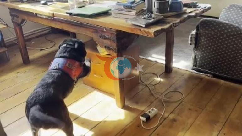 Son dakika... Ünlü yönetmen Ezel Akay gözaltında Evinden çıkanlar şoke etti
