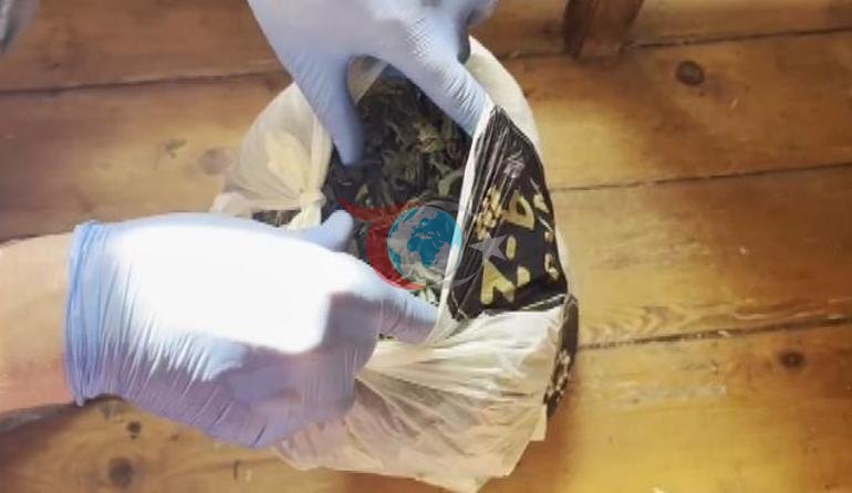 Son dakika... Ünlü yönetmen Ezel Akay gözaltında Evinden çıkanlar şoke etti