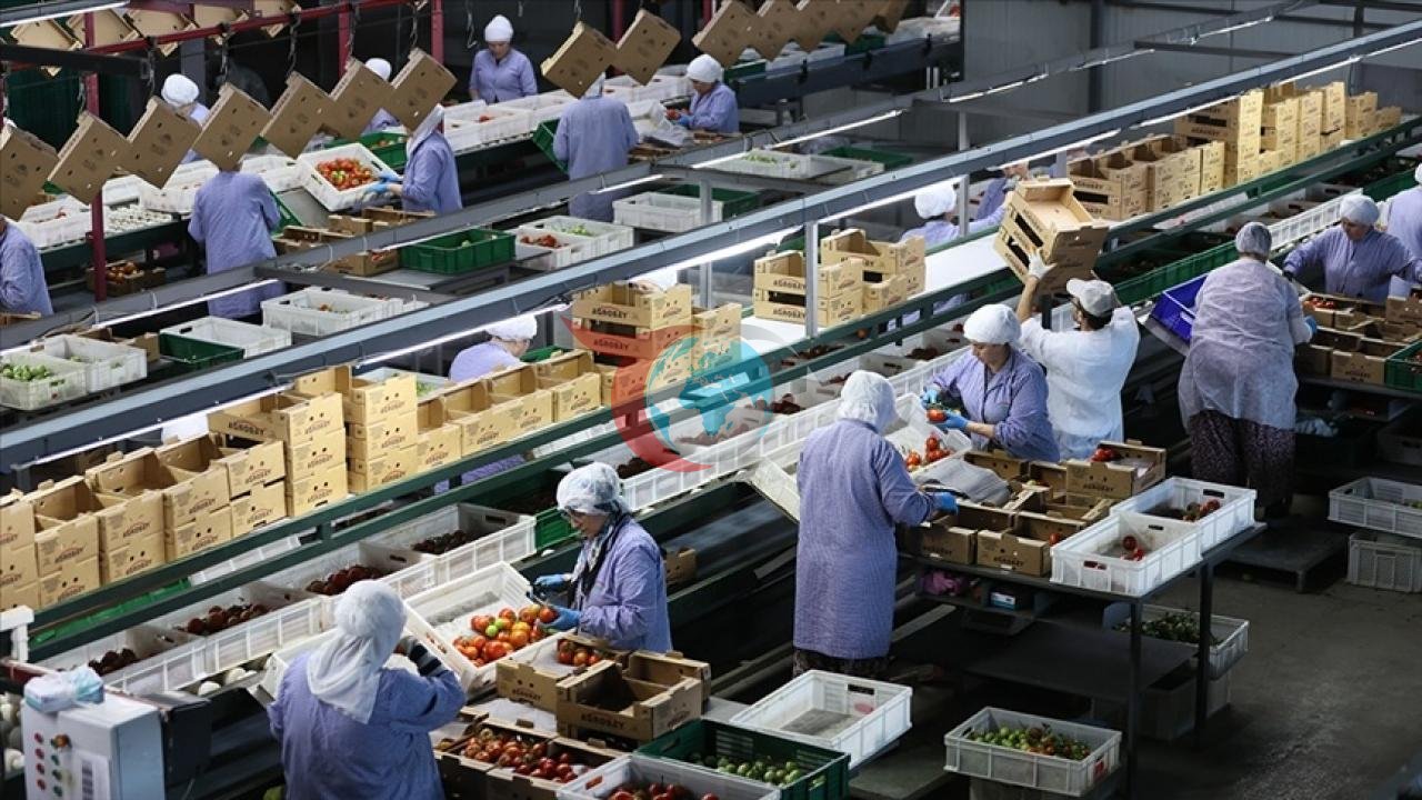 Ege'den Dünya Sofralarına İhracat Köprüsü: 128 Ülkeye Dev Sevkiyat!