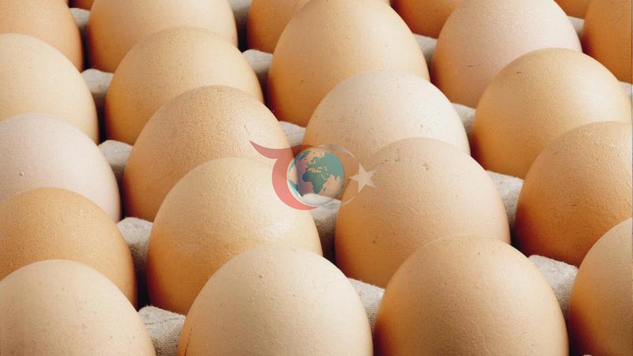 ABD'de Dev Yumurta Geri Çağırma Operasyonu: Milyonlarca Yumurtada Salmonella Alarmı