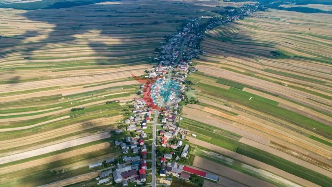 9 Kilometrelik Tek Bir Sokakta 6 Bin Kişi Yaşıyor: Polonya’nın Sıra Dışı Köyü Suloszowa