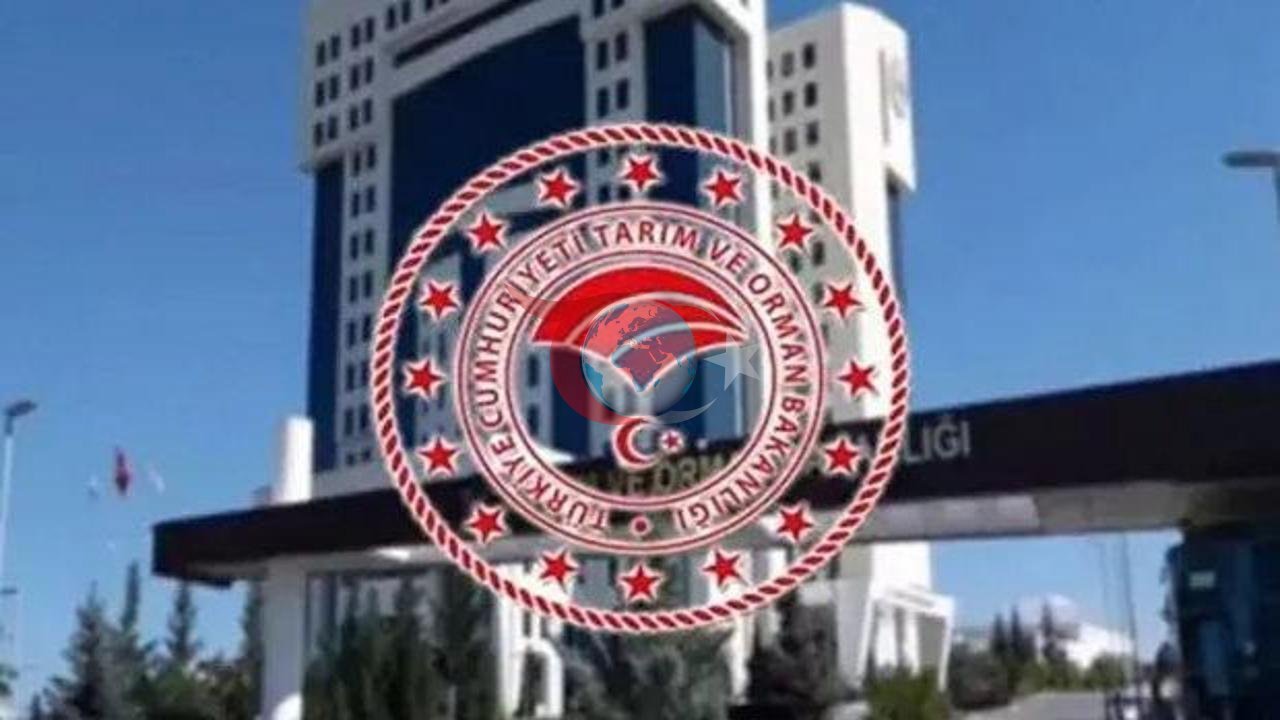 Tarım ve Orman Bakanlığı 1874 Personel Alımı Başvuruları Başlıyor: İşte Kadro Dağılımı ve Şartlar