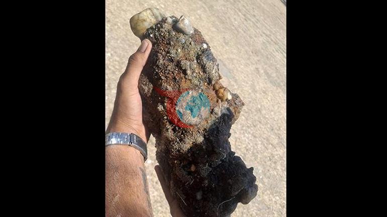 Çanakkalede plajda patlamamış askeri mühimmat bulundu