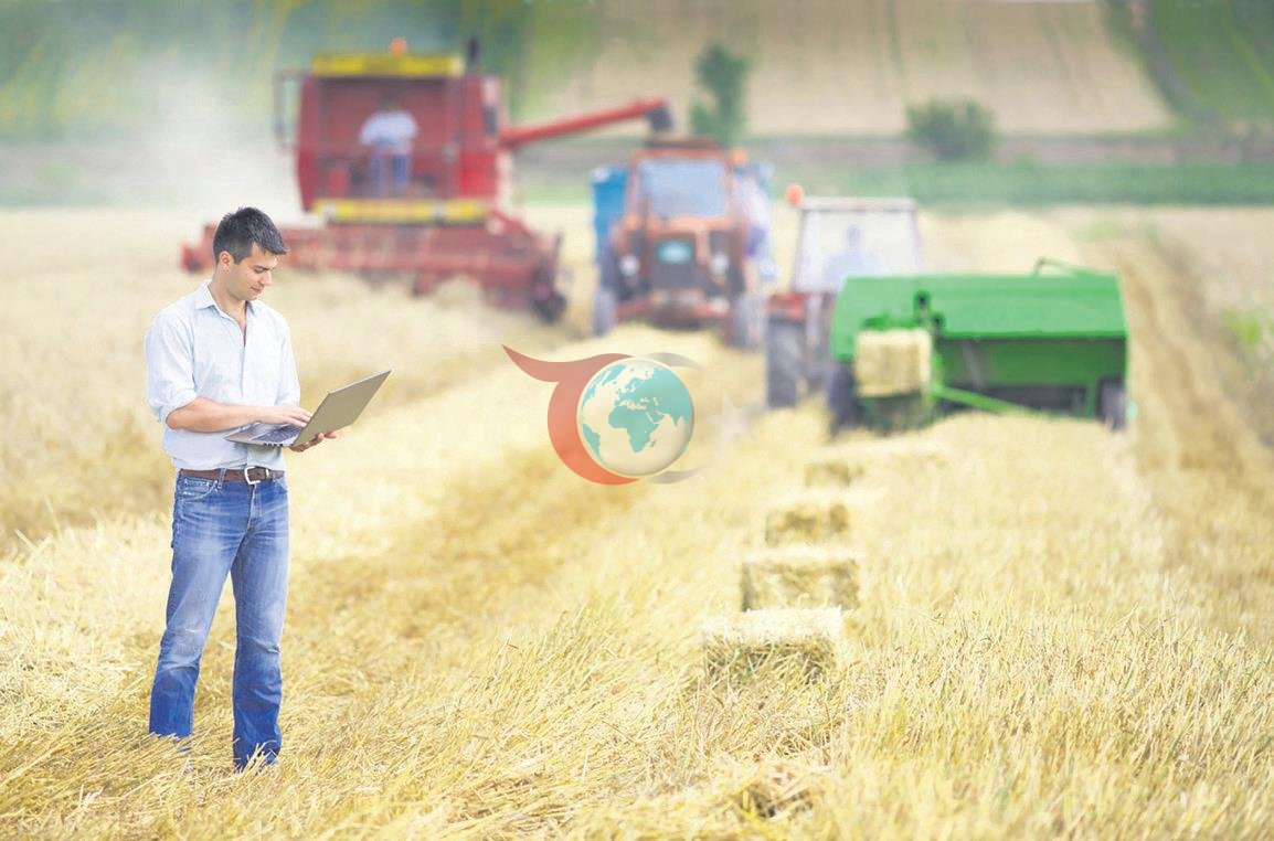 TMO'dan Tarihi Rekor: 176 Bin Üreticiden 8.3 Milyon Ton Hububat Alımı Gerçekleştirildi