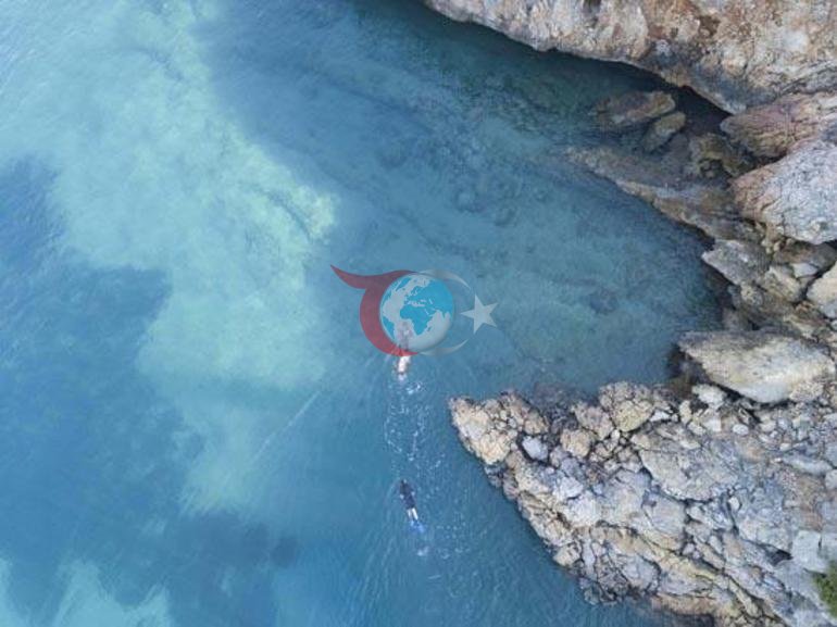Marmaris Gรถkovadaki kรถpekbalฤฑฤฤฑ nรถbeti Turizme kapatฤฑldฤฑ, her hareketi izleniyor