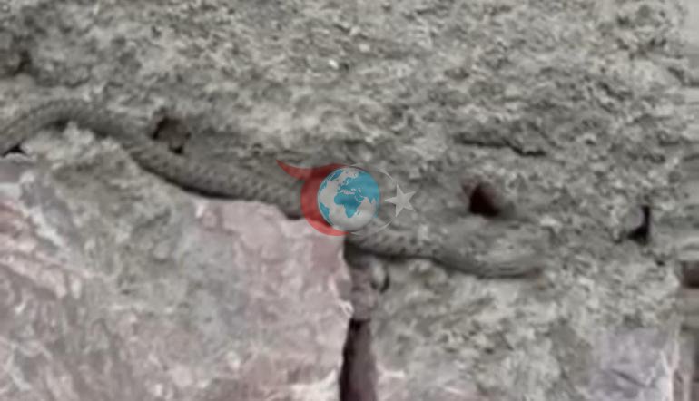 Yılanlı ev Çaresiz kalan ailenin çağrısı var