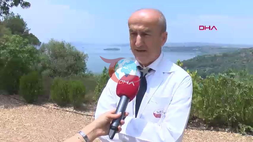 Çukurova Universiteti (ÇÜ) Tibb Fakültəsi Balcalı Xəstəxanası Baş Həkimi və Təcili Tibb Fundamental elm sahəsi Müəllim Prof. Dr. Ahmet Sebe