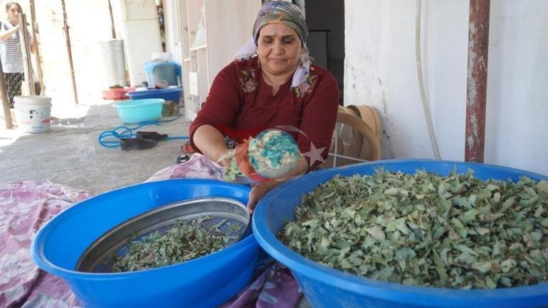 Betakror xazina Mintaqadagi katta quvonch: 60 yoshli odam bu qadar mo'l-ko'llikni ikkinchi marta ko'rmoqda