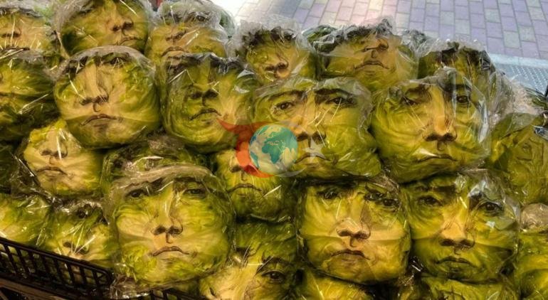 Binlerce marulun üzerine ünlü oyuncunun yüzü basıldı Japonyada sıra dışı yöntem