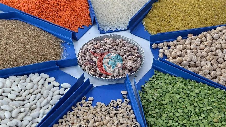 Gıda İthalatında Yeni Dönem: Denizli İl Tarım ve Orman Müdürlüğü Yetkilendirildi