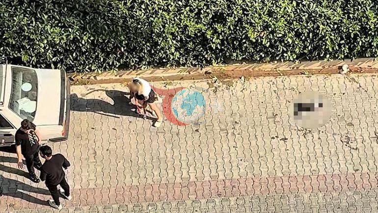 Adanada Pitbull dəhşəti Pişiyi sındırdı: Sahibi polisə zəng etməmək üçün yalvardı