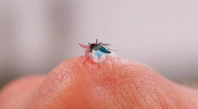 6 ölkədə yeni təhlükə Virus qonşunu da yoluxdurub və sürətlə yayılır