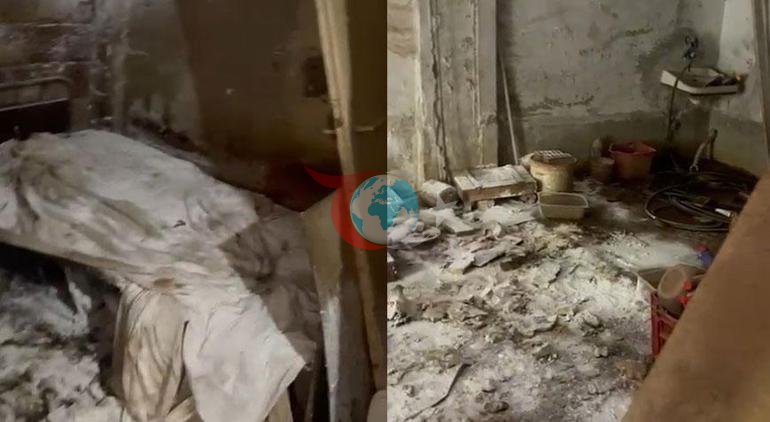 Pire istilası mahalleyi canından bezdirdi Ekiplerin gördükleri şaşkına çevirdi
