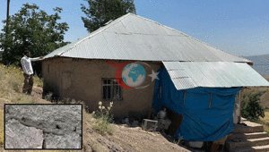 Yılanlı ev Çaresiz kalan ailenin çağrısı var