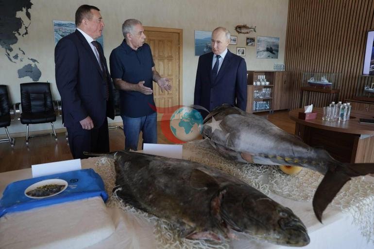 Putinin Yaponiyanın iddia etdiyi adalara ilk səfəri Tokiodan sərt reaksiya