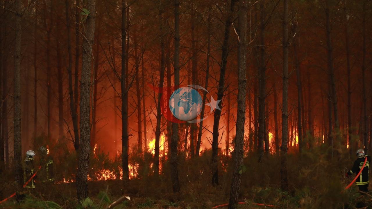 Fransa'da Sıcaklık Kabusu: 50 Bölgede Turuncu Alarm Verildi, Ormanlar Alev Alev!