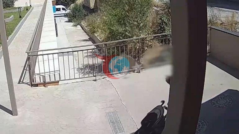 Стамбулдагы операция: Бебекли чабарманы кармалды