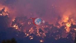 Antaliyada Kəmərdə meşə yanğını! Gecə qruplarının müdaxiləsi davam edir