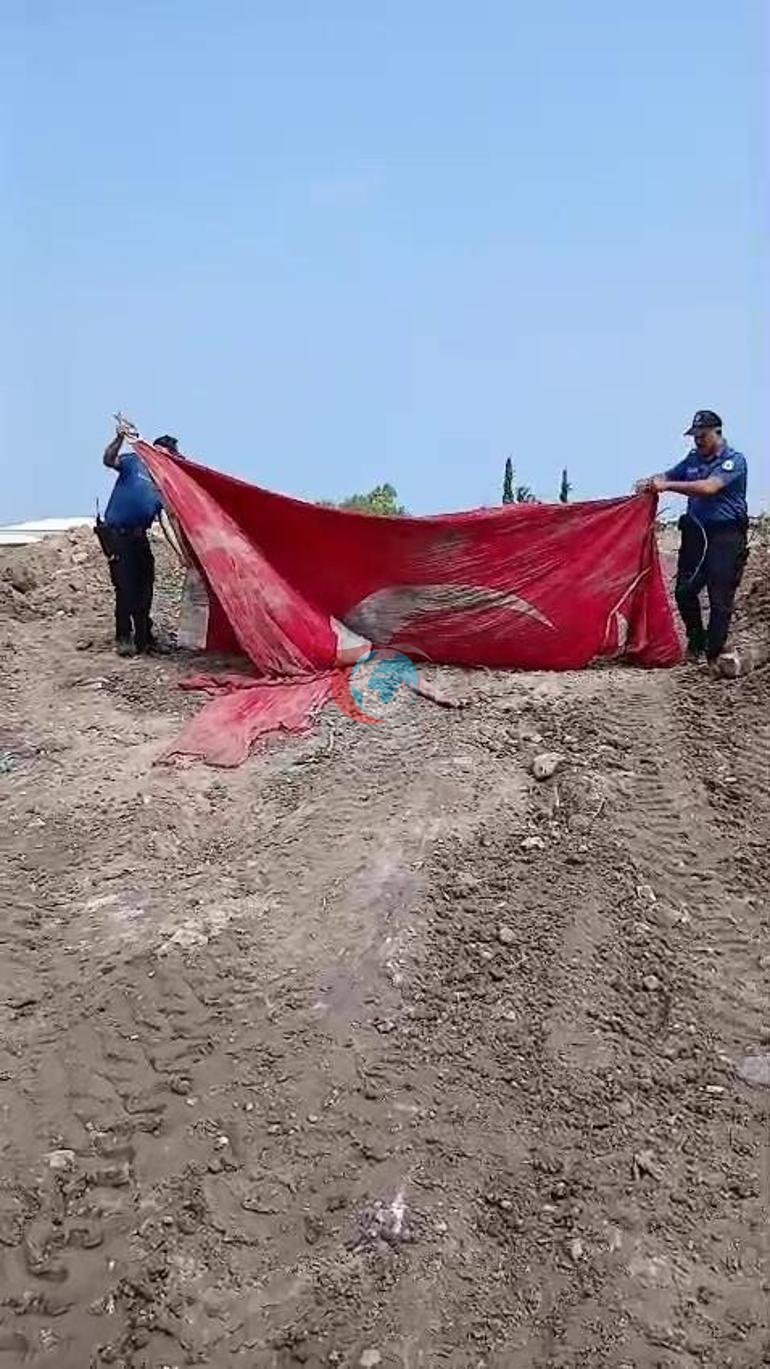 Emosional bayraq həssaslığı dağıntılar altından bərpa edildi