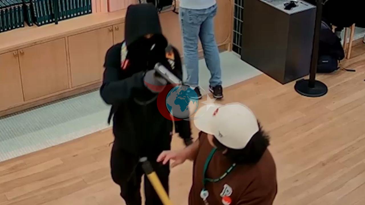 Fransiýada adatdan daşary talaňçylyk: 80 müň ýewro ogurlanan Pokemon kartlary