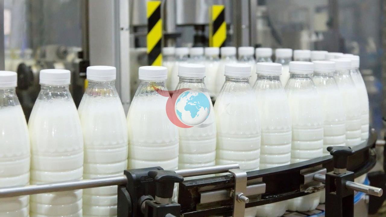 Stambuldan dogduk şäherine gaýdyp geldi: 18,2 million TL döwlet goldawy bilen ullakan süýt fabrigini döretdi.