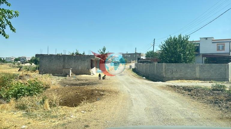 Kedinin ısırdığı 4 yaşındaki çocuk entübe edildi Kuduz testi pozitif çıktı