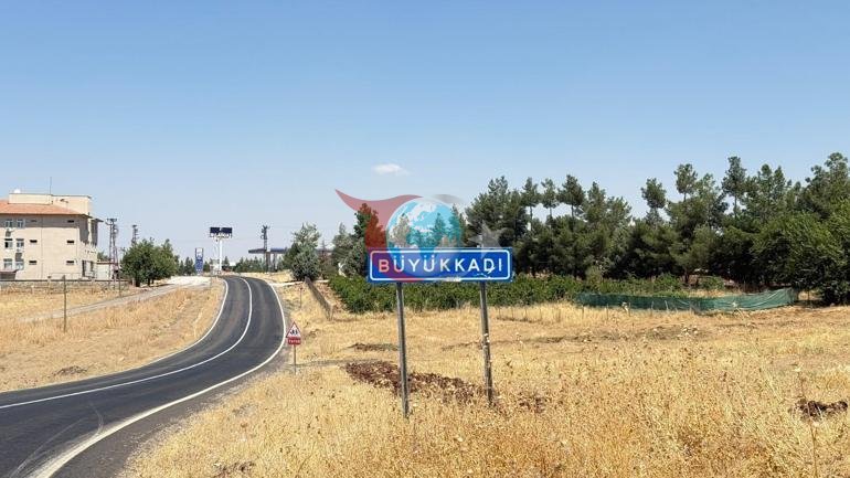 Kedinin ısırdığı 4 yaşındaki çocuk entübe edildi Kuduz testi pozitif çıktı