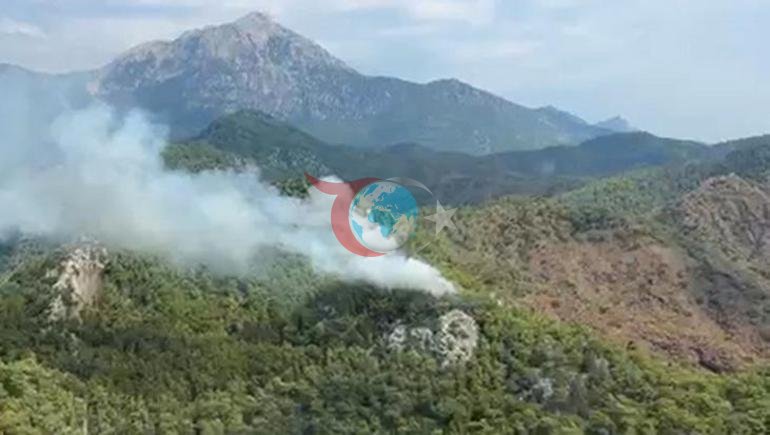 Antalyada orman yangını Havadan karadan müdahale