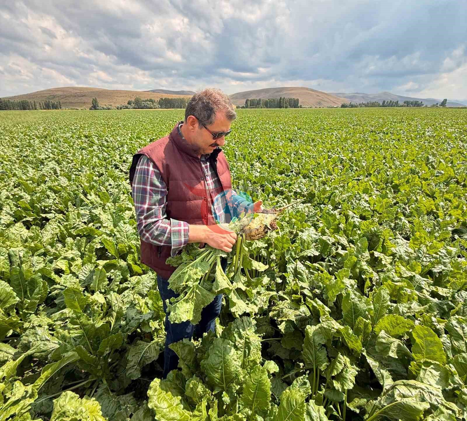 Milli Savunma Bakan Yardımcısı Salih Ayhan'dan Duygusal Bayburt Paylaşımı: "Kimliğimin Mayası"