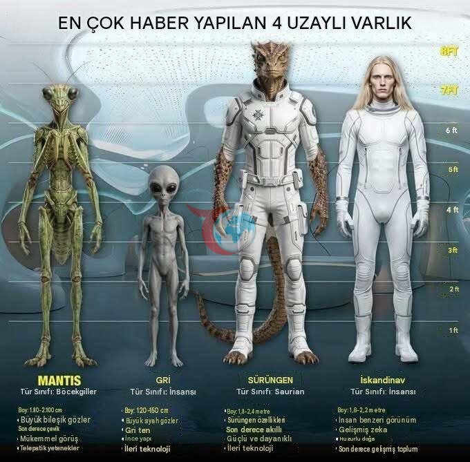 İddialardaki dört uzaylı türünün özellikleri