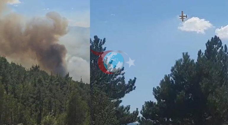 Balıkəsirdə qorxunc yanğın yol kənarında başlayıb və meşəyə sıçradı