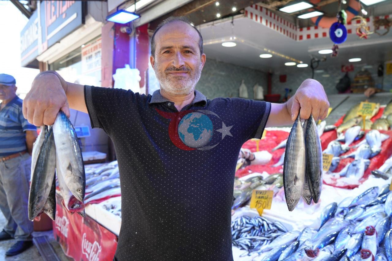 Tövlələrdə palamut bolluğu: 'Bu il o il olacaq!'