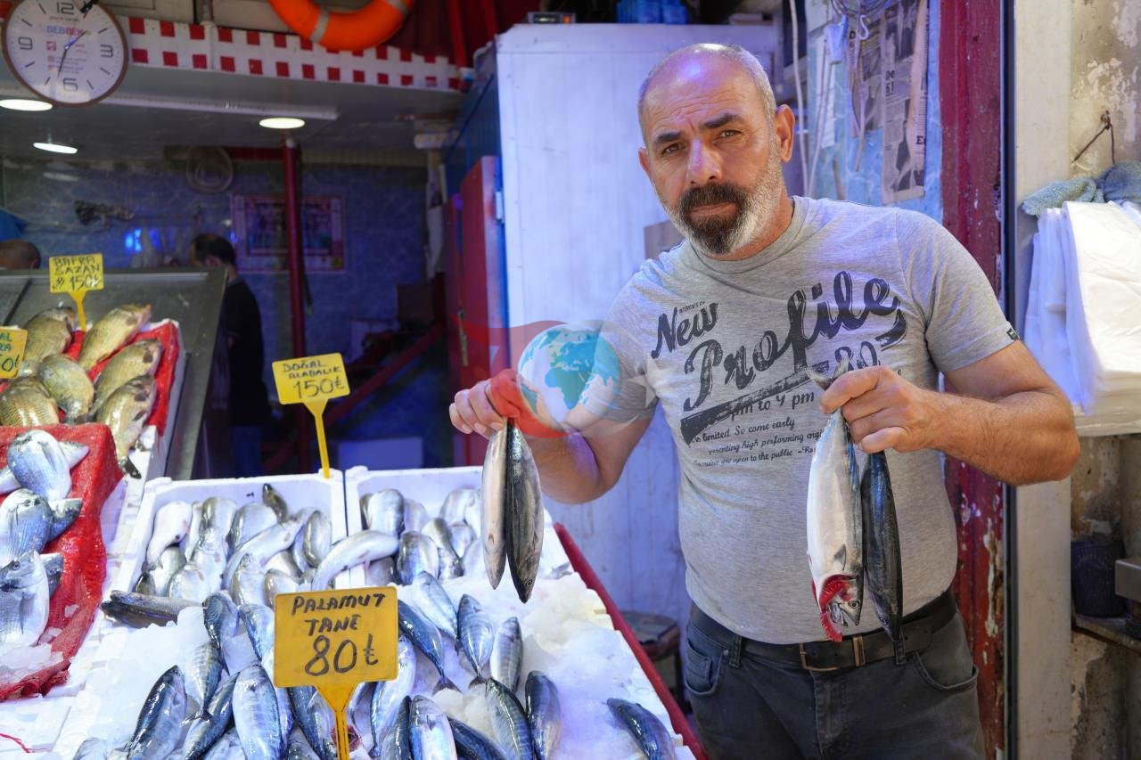 Tövlələrdə palamut bolluğu: 'Bu il həmin il olacaq!'