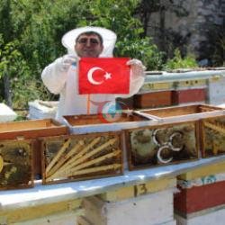 Bu seçkini arılar müəyyən etdi! 4 partiyanın qızğın yarışı nəticə verdi 