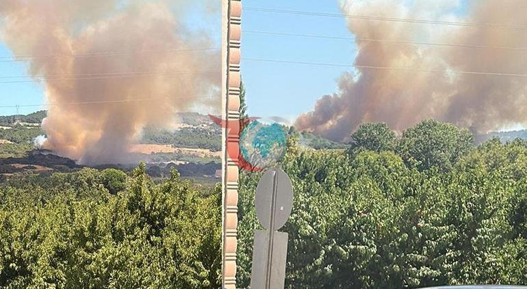 Çanakkalede tarım arazisinde yangın Müdahale ediliyor