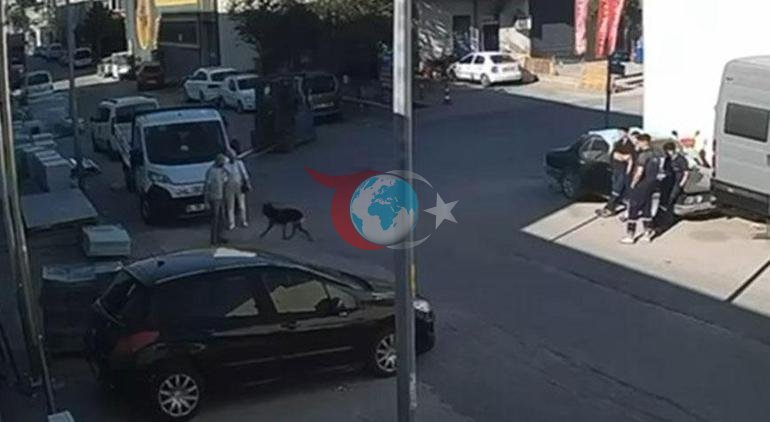 İtdən qaçarkən xəstələnən 15 yaşlı Beratın dağıdıcı sonu