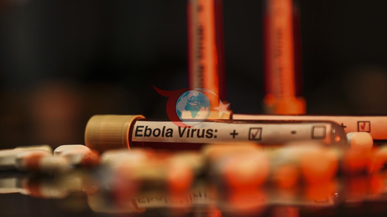 Ebola howpy ýokarlanýar: BSGG-dan duýduryş we möhüm ösüşler