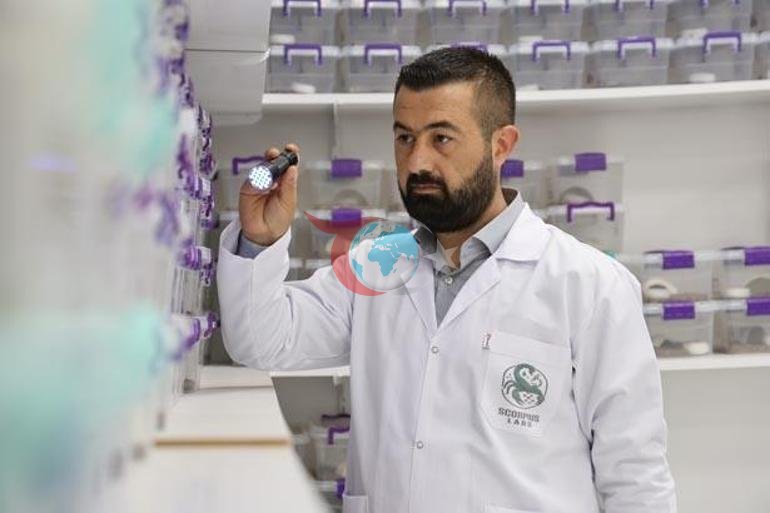 Elazığda kuruldu, 5 bin akrep tek bir amaç için yetiştiriliyor
