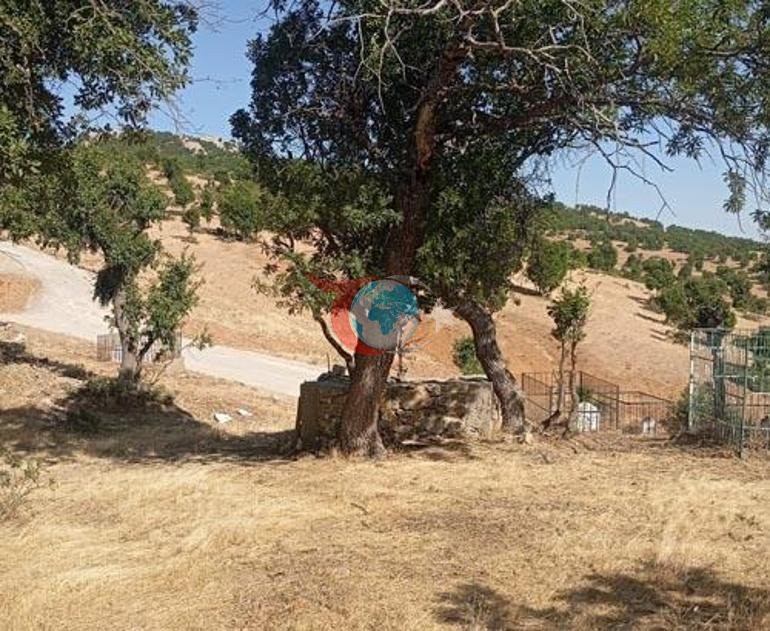 300 жылдык салт бузулганда кырсык башталат: Айылга бир нерсе болуп кетти
