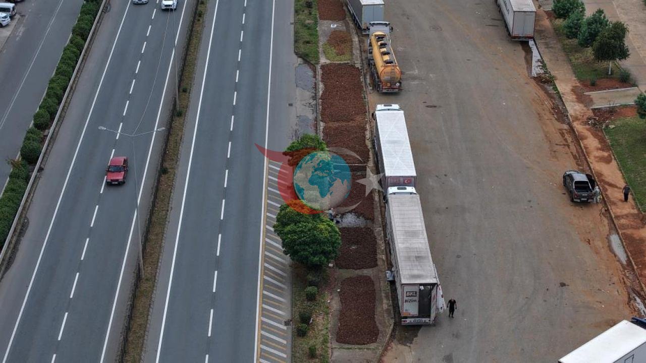 Fındık Üreticisinin Zorlu Mesaisi: Sahil Yolunda Gece Gündüz Hırsızlık ve Kokarca Nöbeti