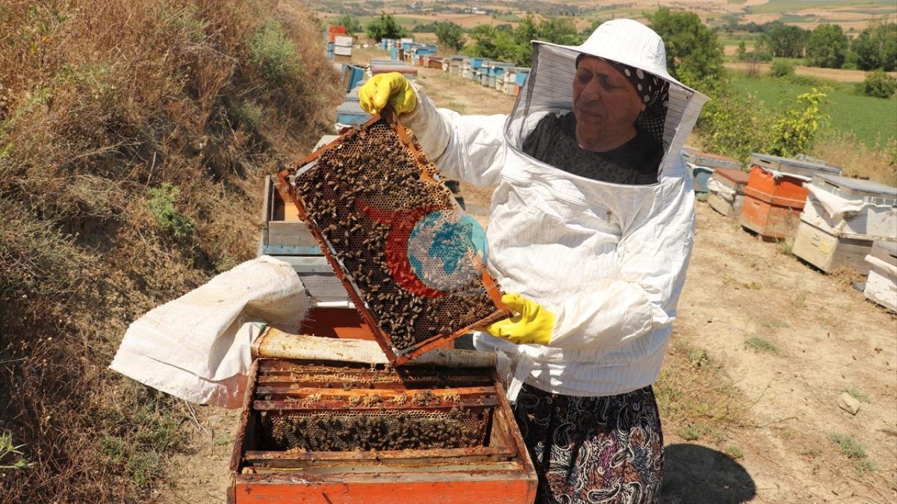 Tarlada Bulduğu Tek Kovanla Başladı: Tekirdağlı Kadın Girişimci 450 Kovanlık Dev Çiftlik Kurdu